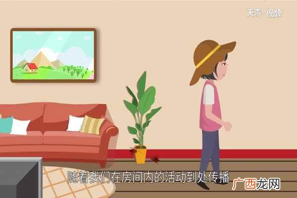 蟑螂用脚踩除了会把卵鞘提前挤压出来 蟑螂为什么不能踩