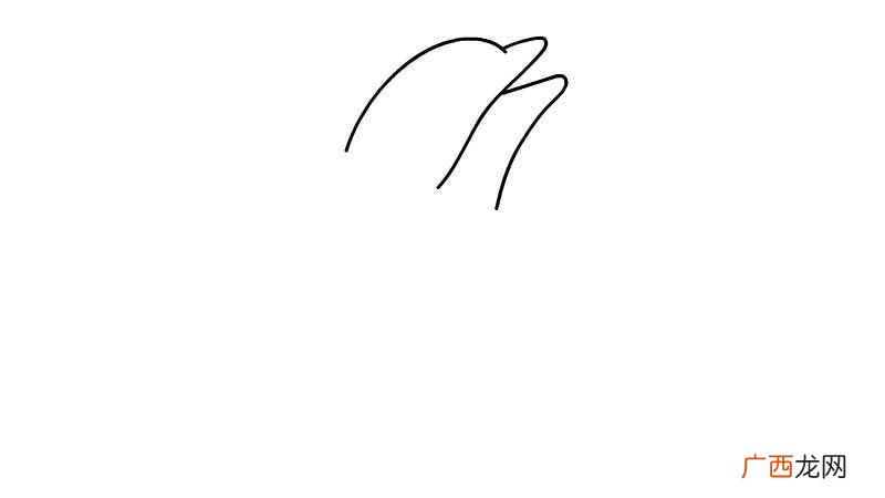 先画出海豚的嘴和头部。 海豚简笔画步骤