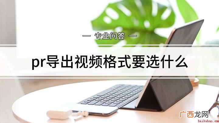 pr导出视频格式要选什么