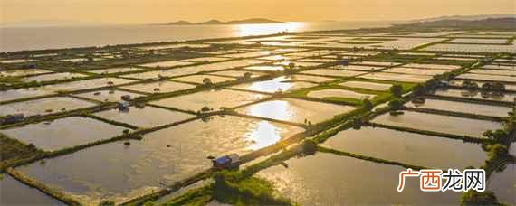 鱼塘肥水可以增加池塘浮游动植物 鱼塘怎样肥水