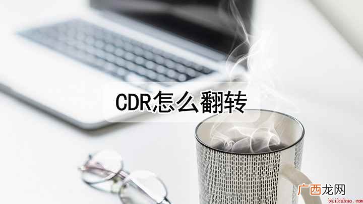 cdr怎么将图片翻转