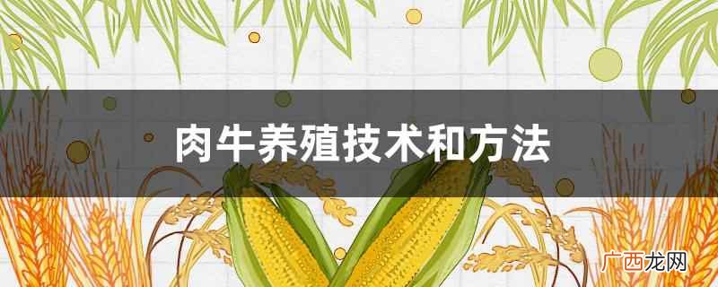 肉牛养殖技术和方法完整版 肉牛养殖技术和方法