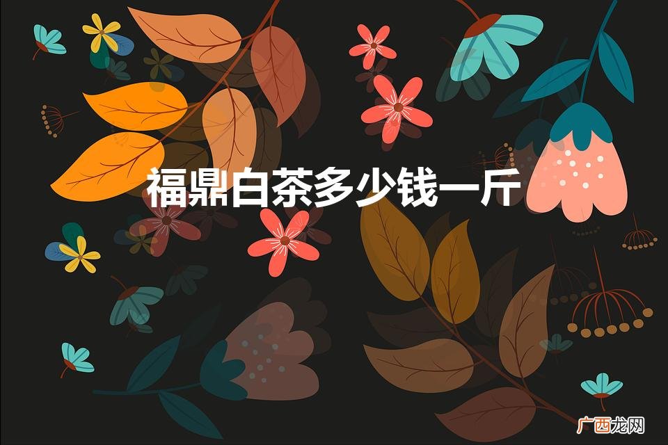 福鼎白茶多少钱一斤2022 福鼎白茶多少钱一斤