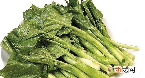 芥兰的功效与作用和禁忌 芥兰的功效与作用
