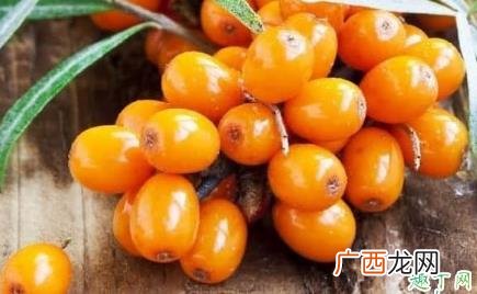 沙棘汁的好处和坏处 沙棘汁好喝吗