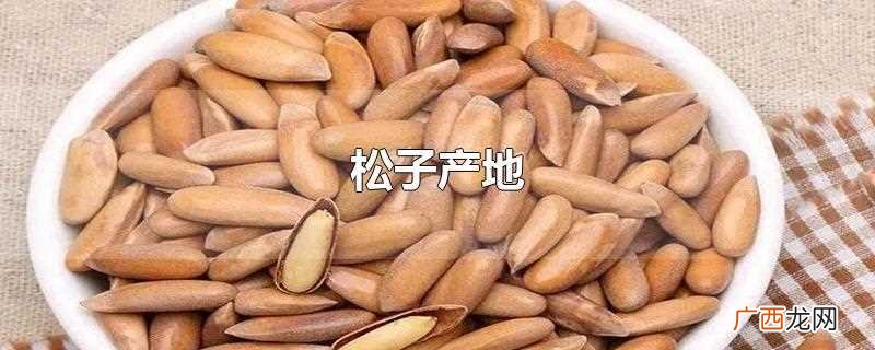 松子产地主要在哪个省 松子产地