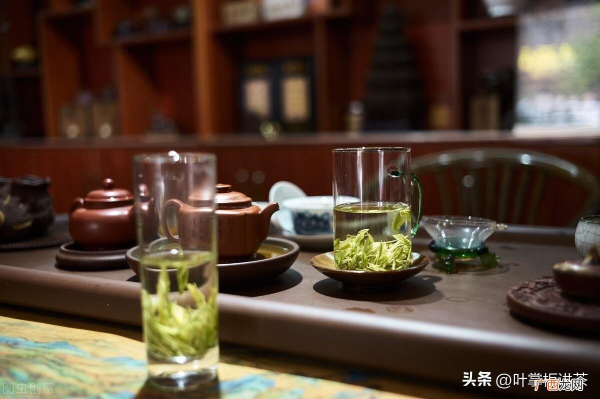 这种茶有什么特点 安吉白茶属于什么茶