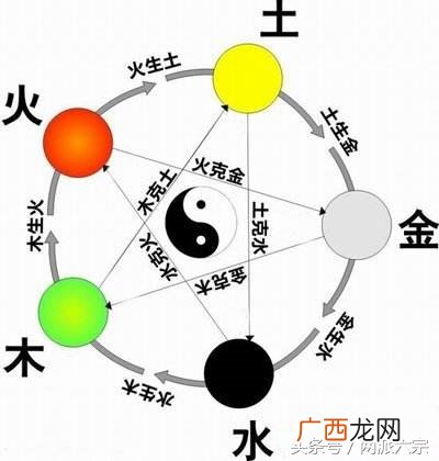 十二生肖的五行关系表 五行与生肖对照表