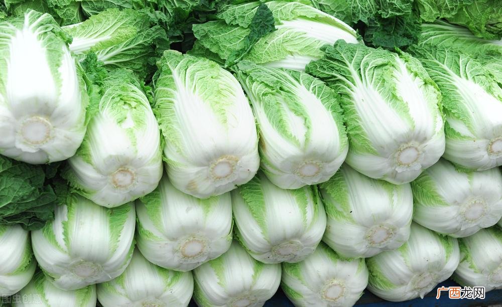 储存大白菜新鲜不烂的方法 大白菜怎么保存时间长还新鲜