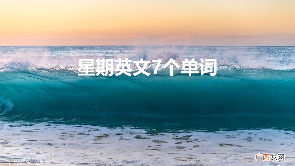星期的英文7个怎么写 星期英文7个单词