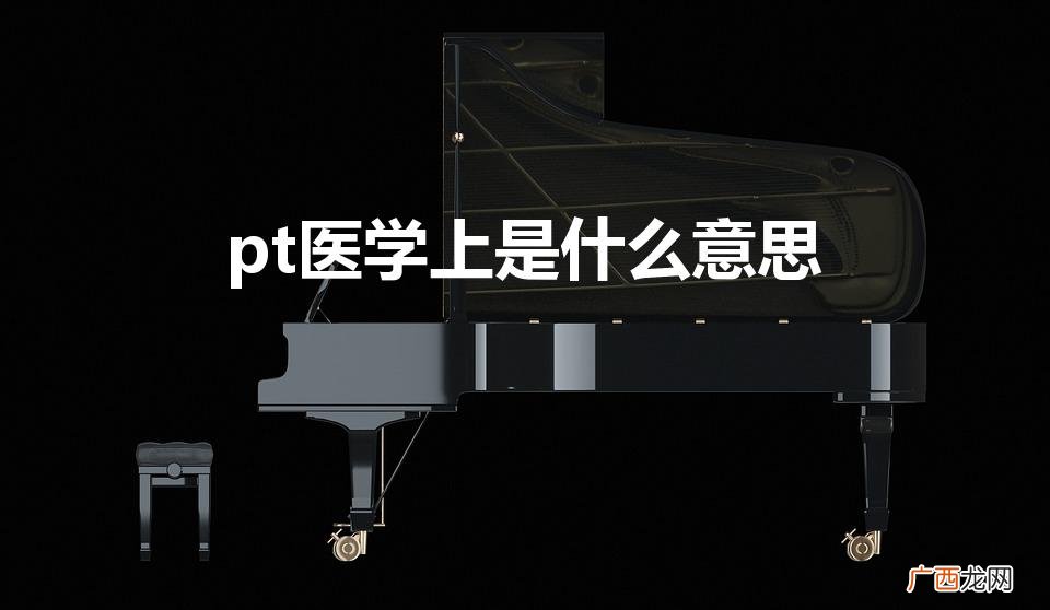pt医学上是什么意思