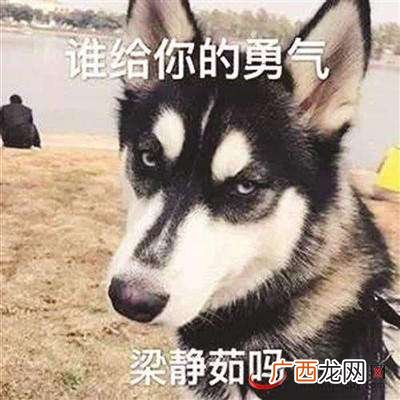 谁给你的勇气梁静茹吗