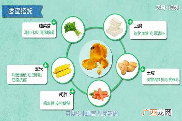 鸡油菌适合与哪些食物进行搭配 鸡油菌的功效与作用