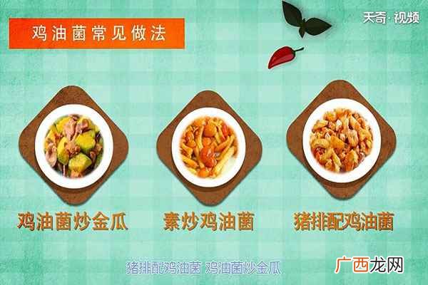 鸡油菌适合与哪些食物进行搭配 鸡油菌的功效与作用