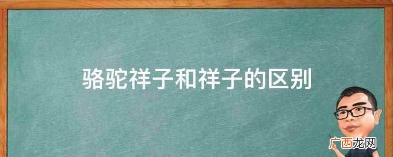 比较祥子与骆驼祥子的不同之处 祥子为什么叫骆驼祥子