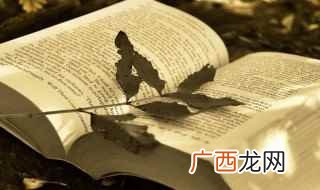 汉语词汇俯瞰是什么意思 俯瞰的拼音