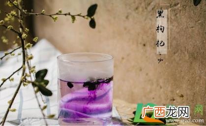 正宗黑枸杞泡水后什么颜色的图片 黑枸杞泡水没有颜色怎么回事