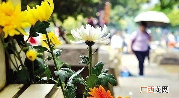 谷雨过后是不是不能扫墓了 谷雨过后还能扫墓吗