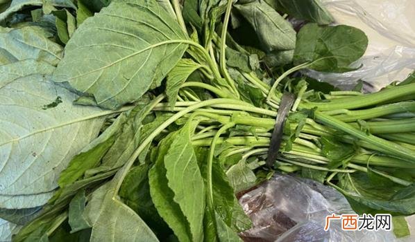 春天野菜大全 春天野菜多吗