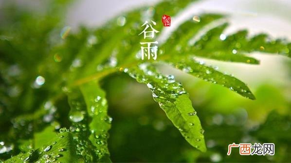 今年的谷雨气温能到多少度 谷雨节气温一般多少度