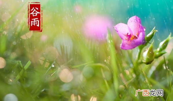今年的谷雨气温能到多少度 谷雨节气温一般多少度