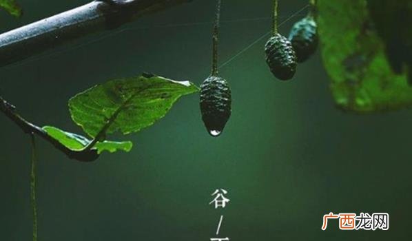 今年谷雨是几月几号 谷雨过后还会下霜吗