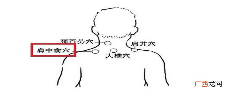 按摩肩中俞的正确方法用双手的手掌心 肩中俞的准确位置图,肩中俞的定位及功效