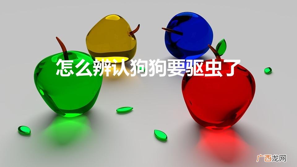主人怎么辨认狗狗要驱虫了 怎么辨认狗狗要驱虫了