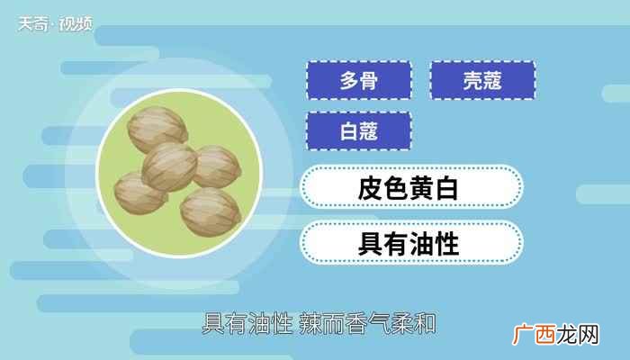 豆蔻是什么意思 豆蔻是什么