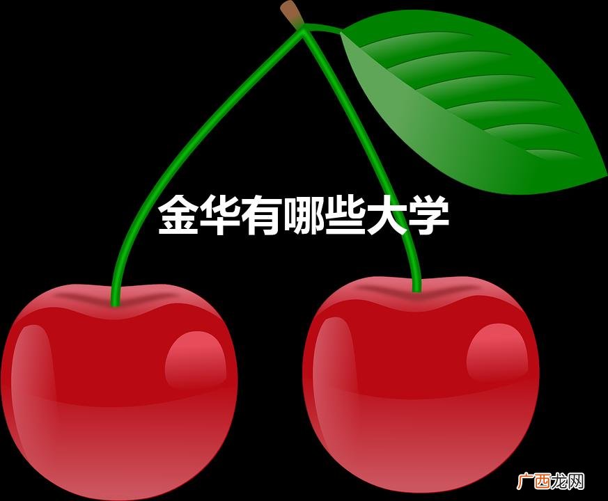 金华有哪些大学及专科学校 金华有哪些大学