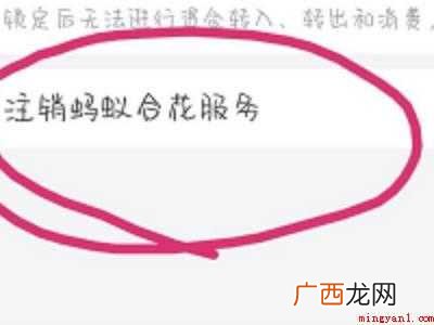 演示机型:Iphone 12 如何关闭蚂蚁合花