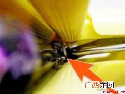 卡扣海绵拖把头怎么下
