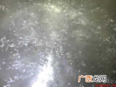 床上跳虫用什么方法杀死