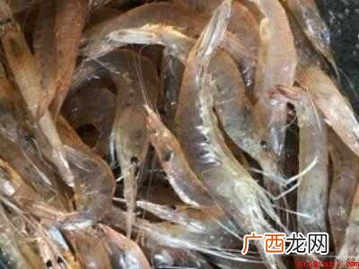 生呛虾必须用什么虾