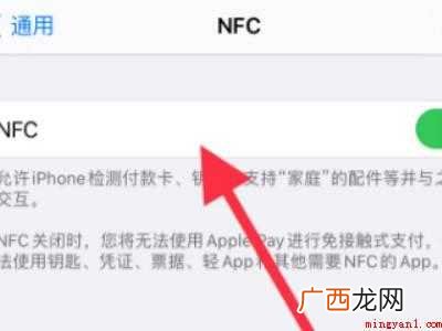 苹果xs设置里找不到NFC