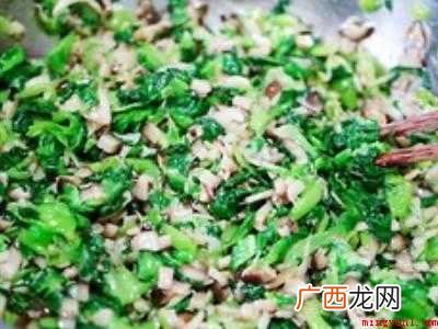 地皮菜包子馅怎么调