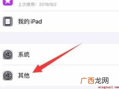 ipad其他系统数据怎么清理
