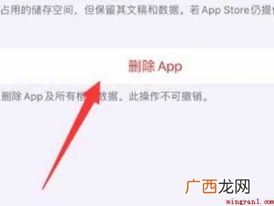ipad其他系统数据怎么清理