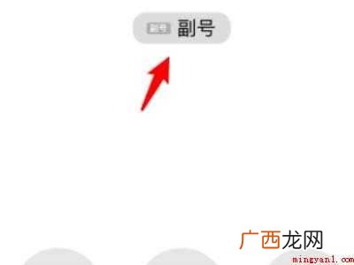 苹果拨号怎么选择主副号
