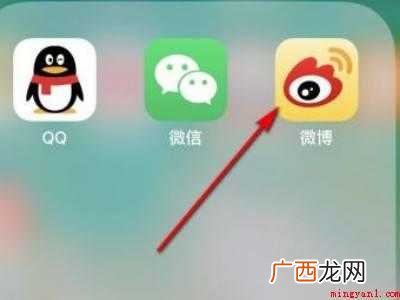 演示机型:Iphone 12 微博怎么快转
