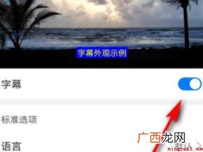 华为字幕功能怎么开