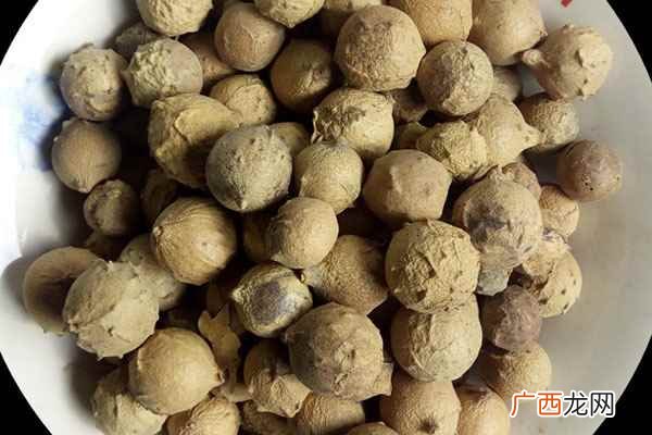 没食子的功效与作用