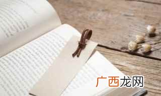 新乐府运动其特点是内容上反映当时的社会现实 新乐府诗的特点