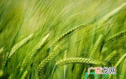 2022年立夏时间有什么讲究 立夏2022什么讲究