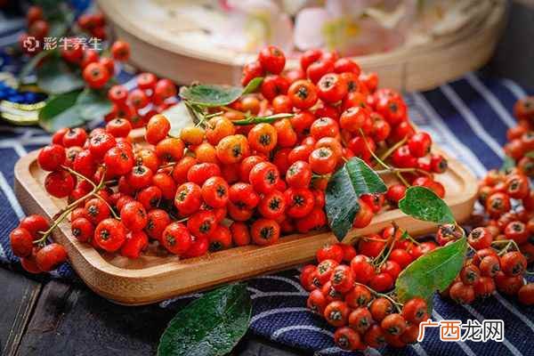 沙棘果的功效与作用及食用方法
