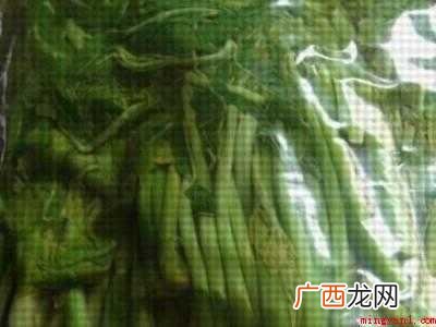 春芽怎么保存时间长