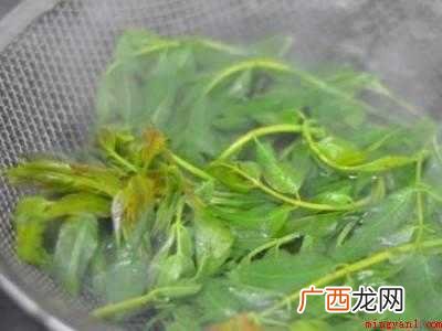 春芽怎么保存时间长