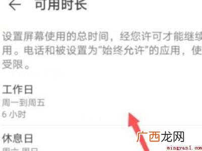 演示机型:Iphone 12 手机灰屏怎么快速修复