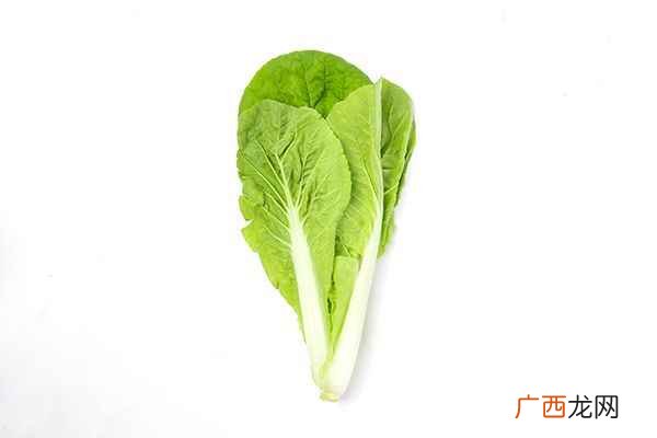 小白菜的功效与作用