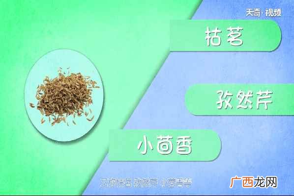孜然的功效与作用及食用方法 孜然的功效与作用